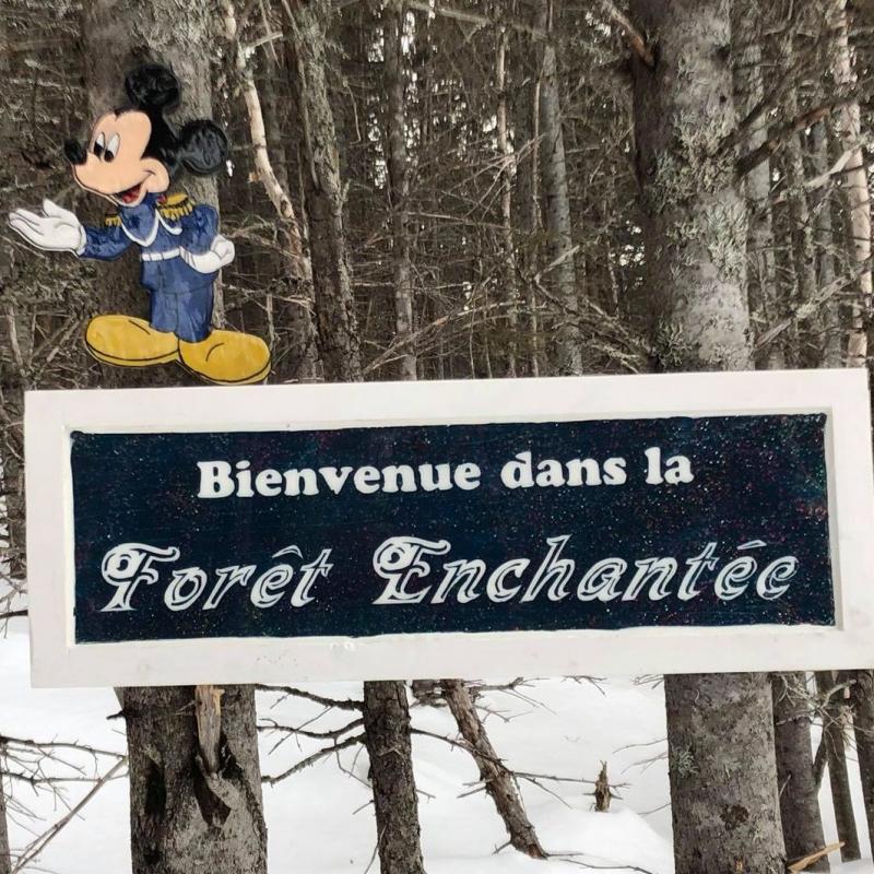 La forêt enchantée