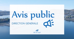 COVID19 (Coronavirus)