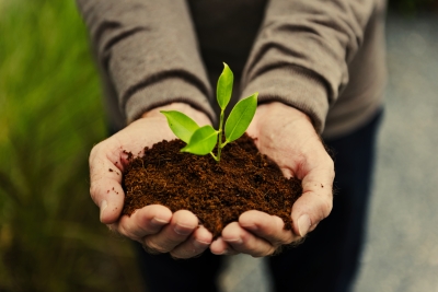 BILAN DE L’ANNÉE 1 DE LA COLLECTE DE COMPOST : NOUS POUVONS TOUS NOUS FÉLICITER!