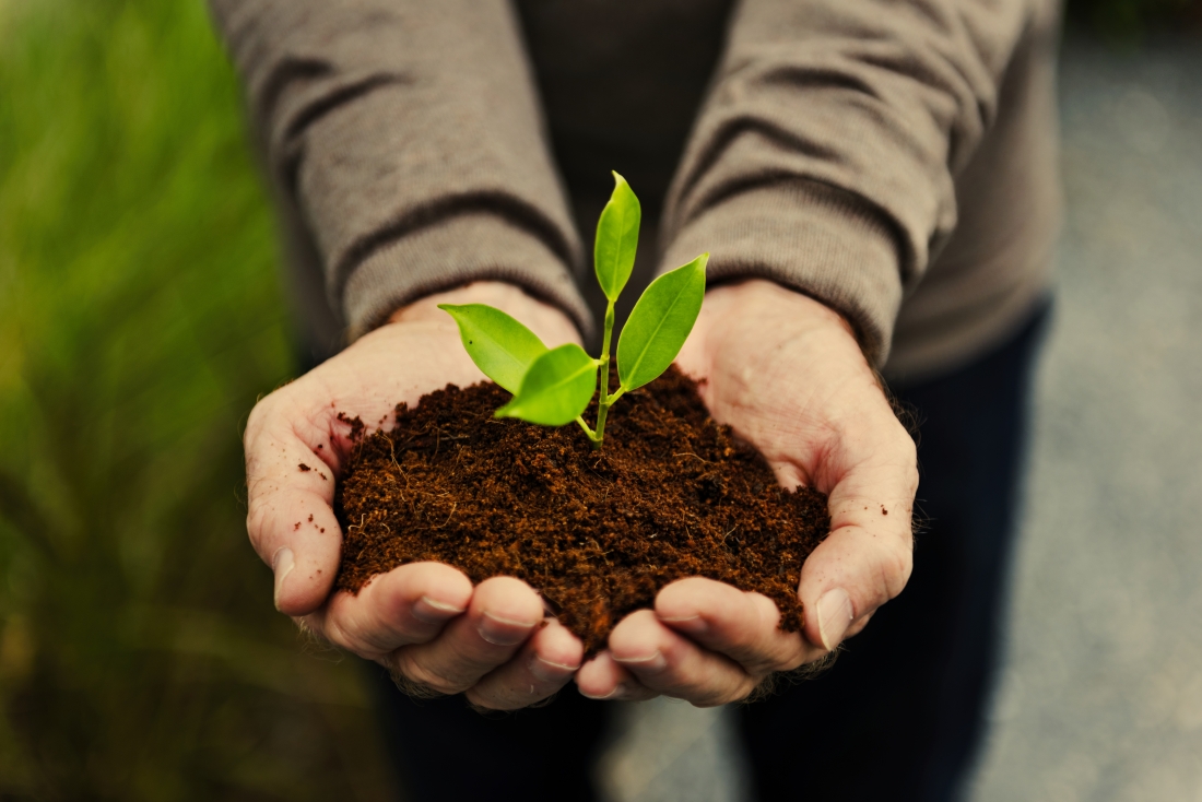 BILAN DE L’ANNÉE 1 DE LA COLLECTE DE COMPOST : NOUS POUVONS TOUS NOUS FÉLICITER!