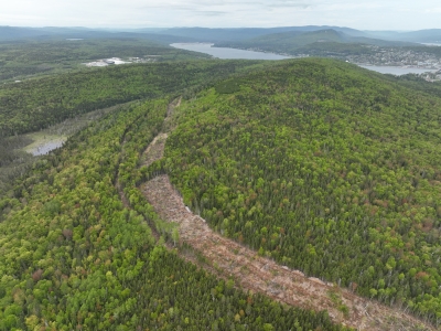 LIEN ROUTIER ENTRE LE PORT DE GASPÉ ET LE PARC INDUSTRIEL DES AUGUSTINES :  « GASPÉ OCTROIE L’UN DES PLUS GROS CONTRATS DE SON HISTOIRE  AFIN DE GÉNÉRER PLUS DE 675 EMPLOIS ET 200M$ D’INVESTISSEMENTS »