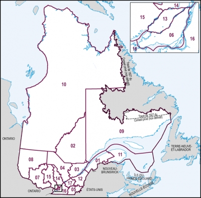 CHANGEMENT AU MODE DE SCRUTIN : La Ville de Gaspé propose de revoir la réforme du mode de scrutin afin qu’elle rehausse réellement la fonction de député et qu’elle bénéficie réellement aux régions